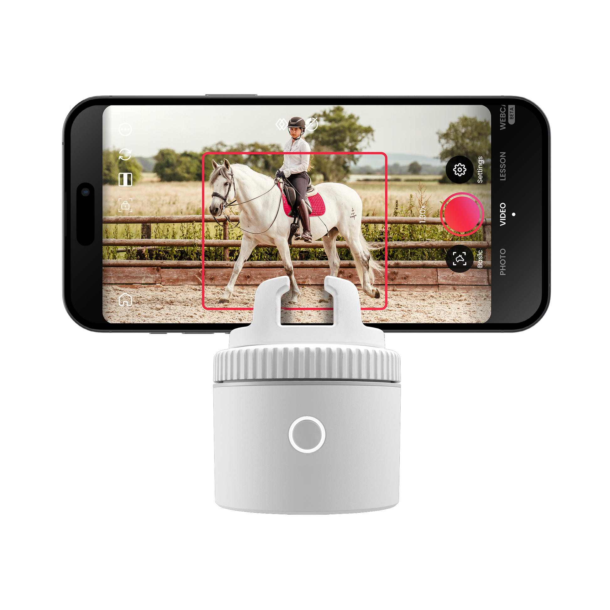 White / Equestrian Starter Pack | White / Equestrian Essential Pack | White / Equestrian Virtual Lesson Pack