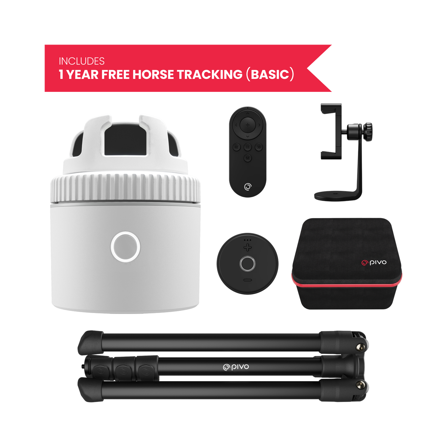 White / Equestrian Virtual Lesson Pack