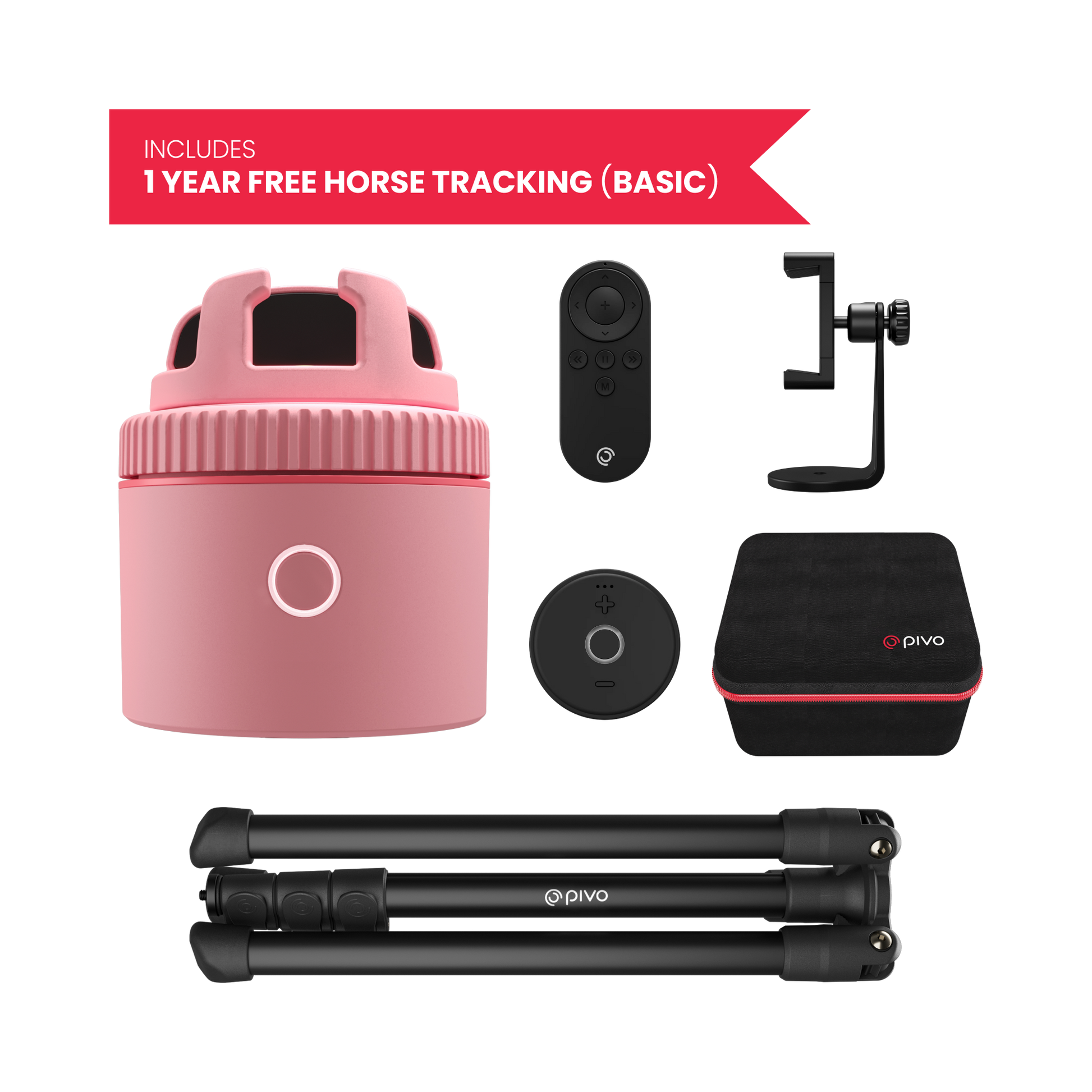 Pink / Equestrian Virtual Lesson Pack